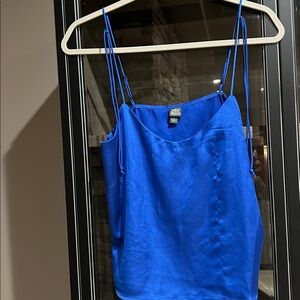 Wild Fable Royal Blue Top